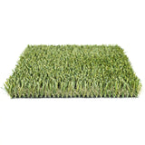 Summer Natural (3.66M & 4M)