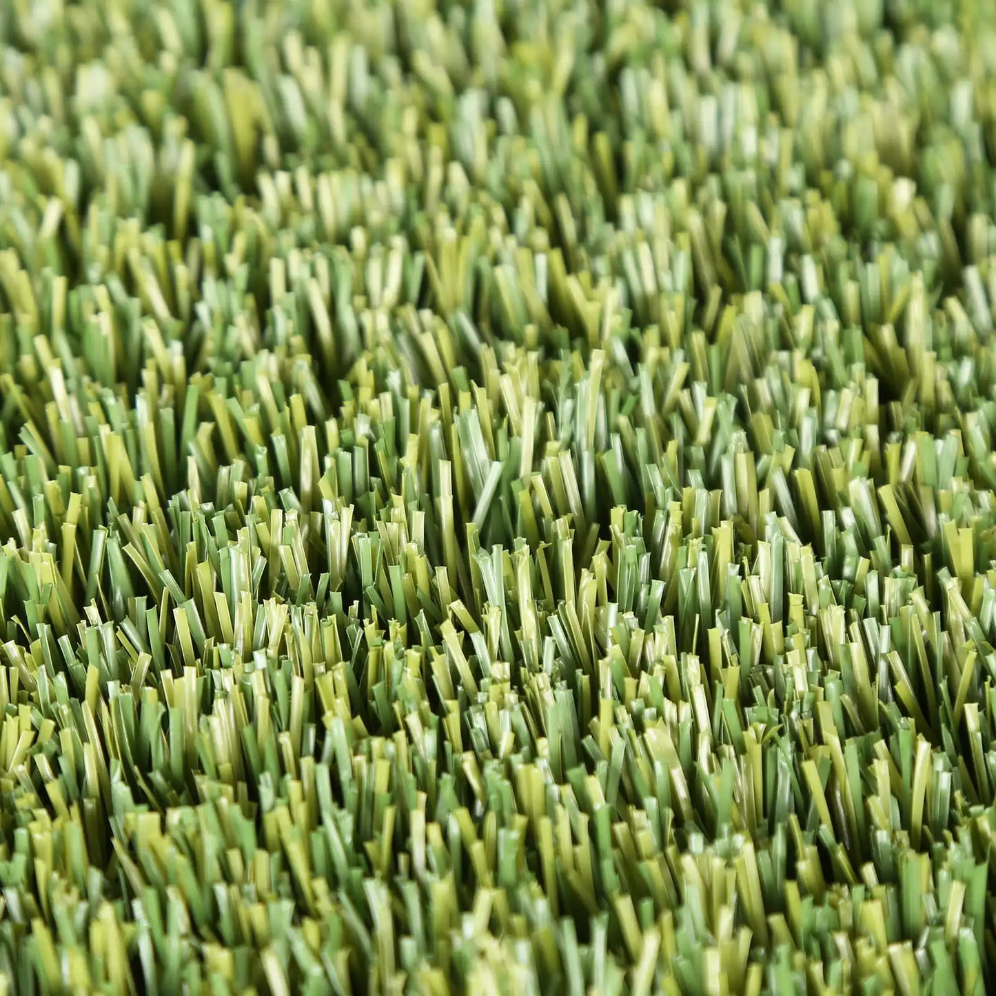 Family Green