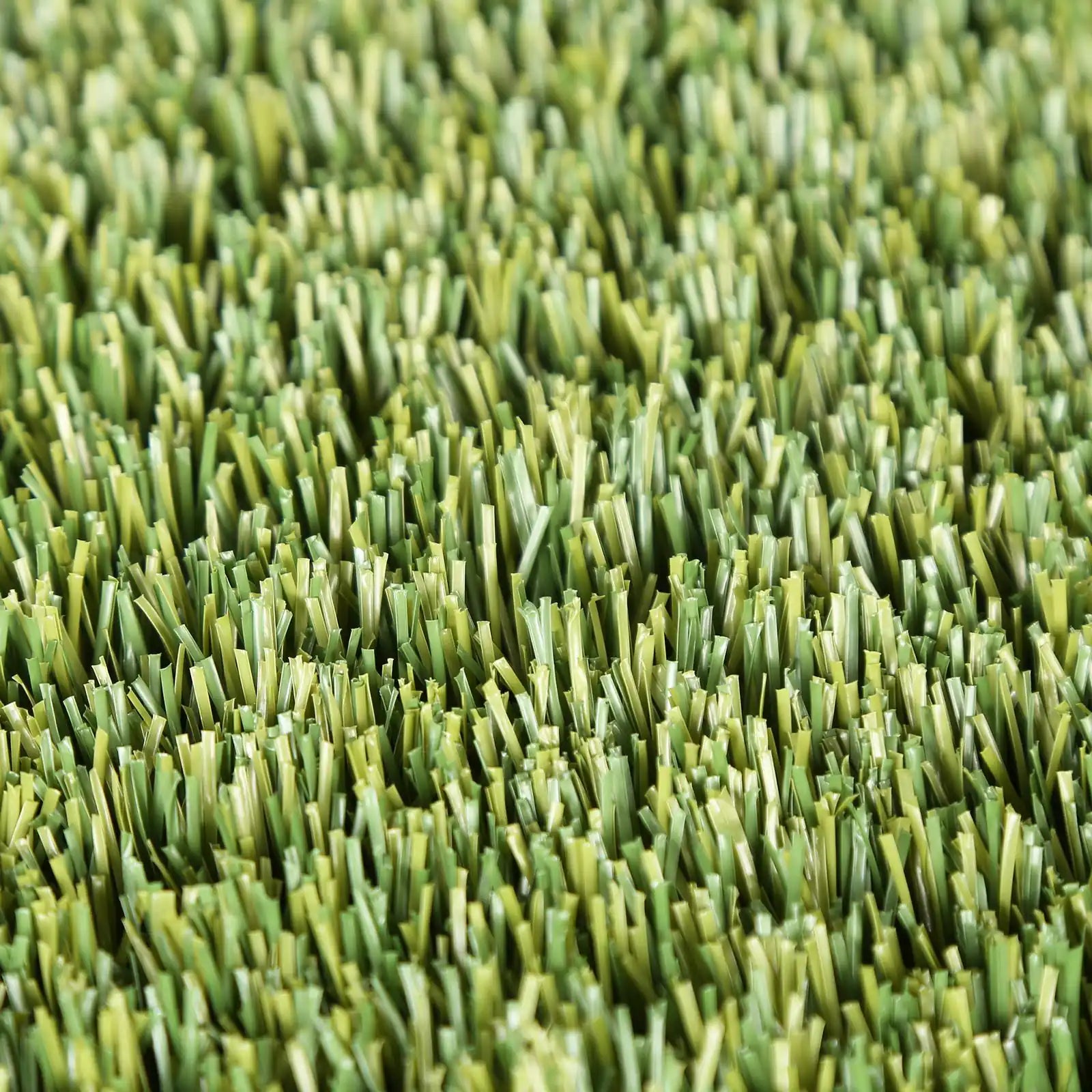 Family Green
