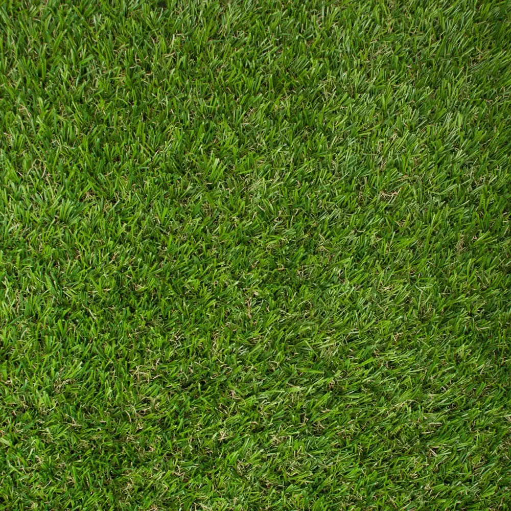 Evergreen Turf (3.66M & 4M)