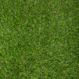 Evergreen Turf (3.66M & 4M)