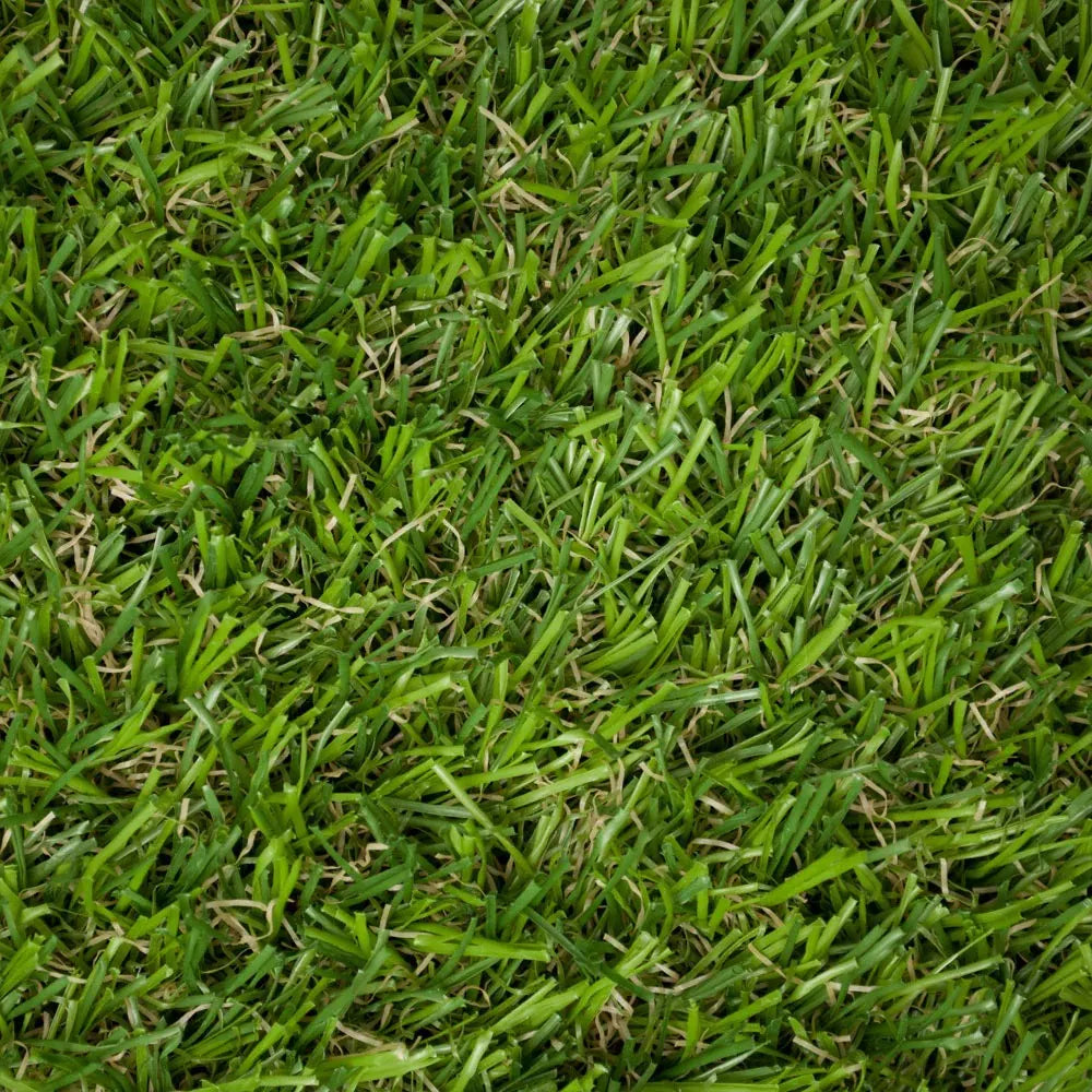 Evergreen Turf (3.66M & 4M)
