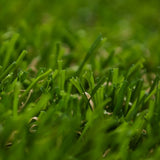 Evergreen Turf (3.66M & 4M)
