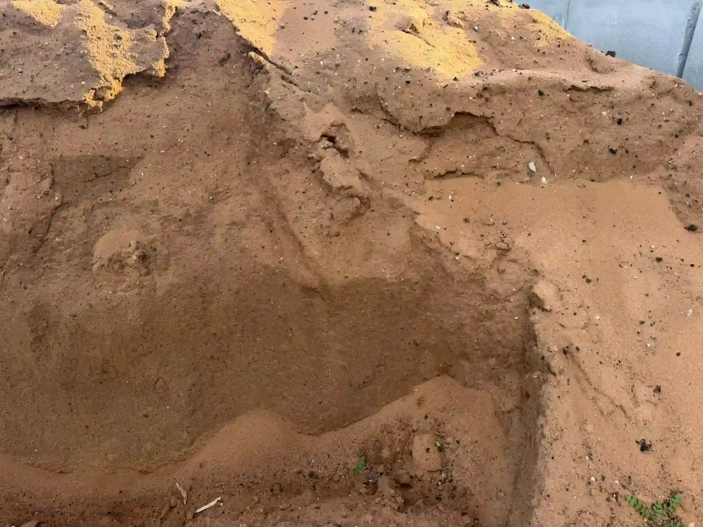 Special Lawn Mix